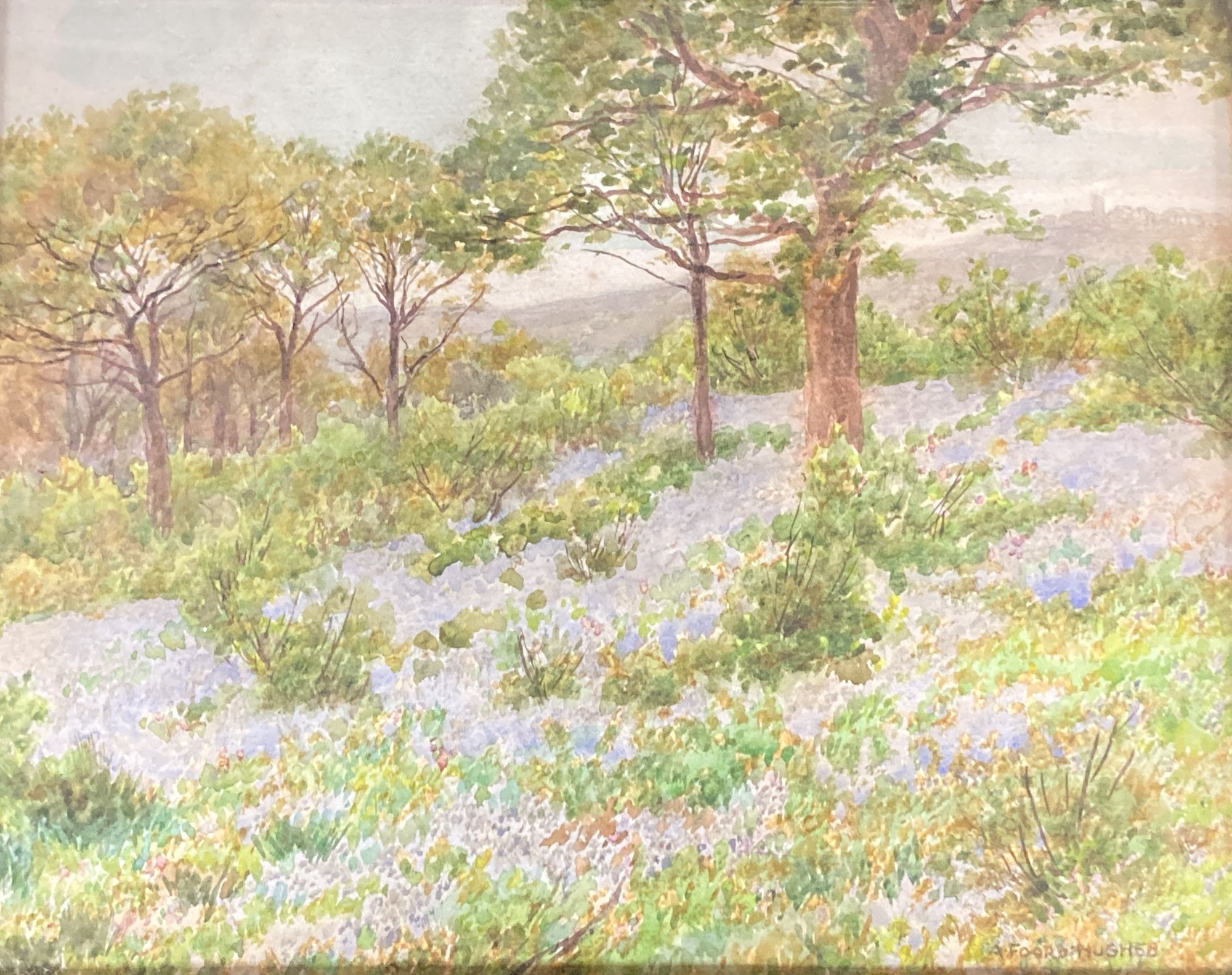 Arthur Foord Hughes (1856-1934), watercolour, Bluebells in the Ruffler, signed, 19 x 24cm